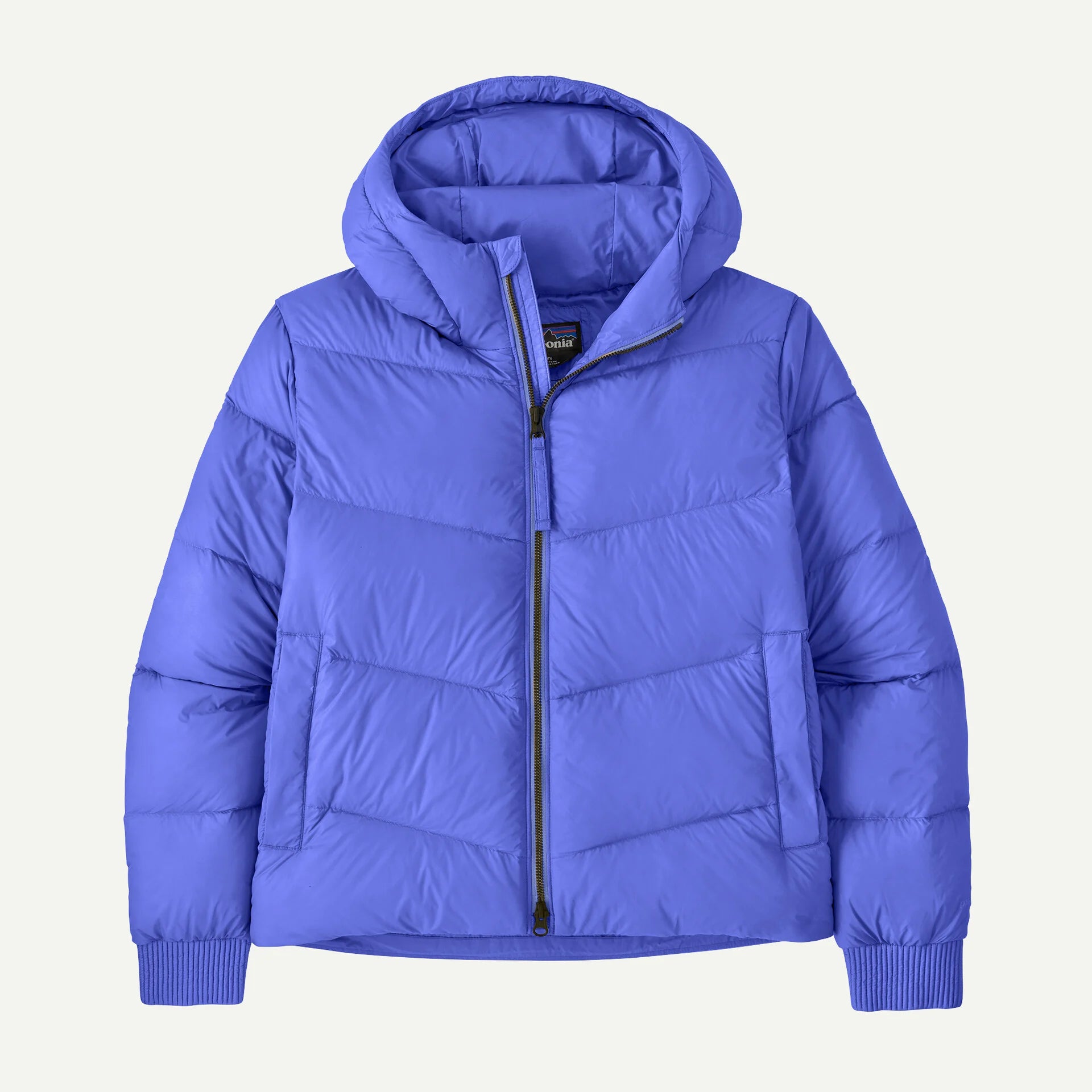 Patagonia Women's Sindit Hoody Jacket