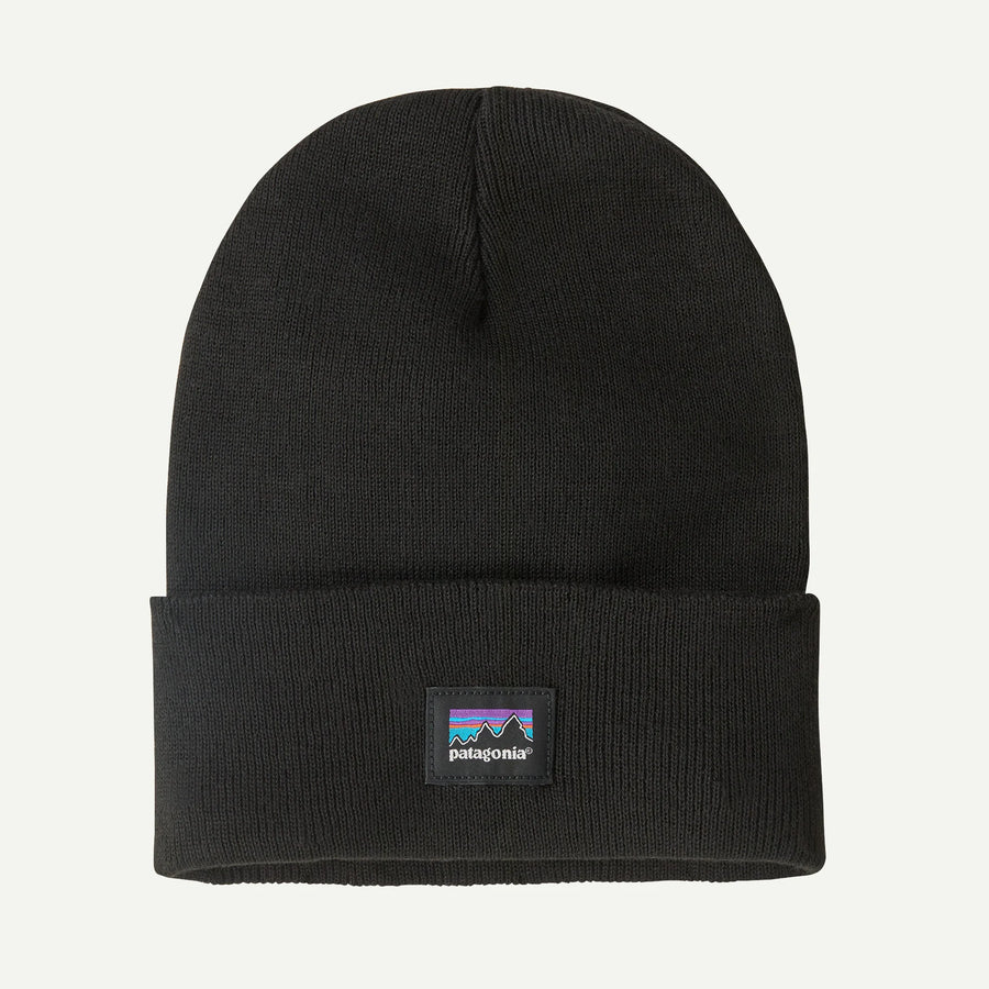 Patagonia Everyday Beanie