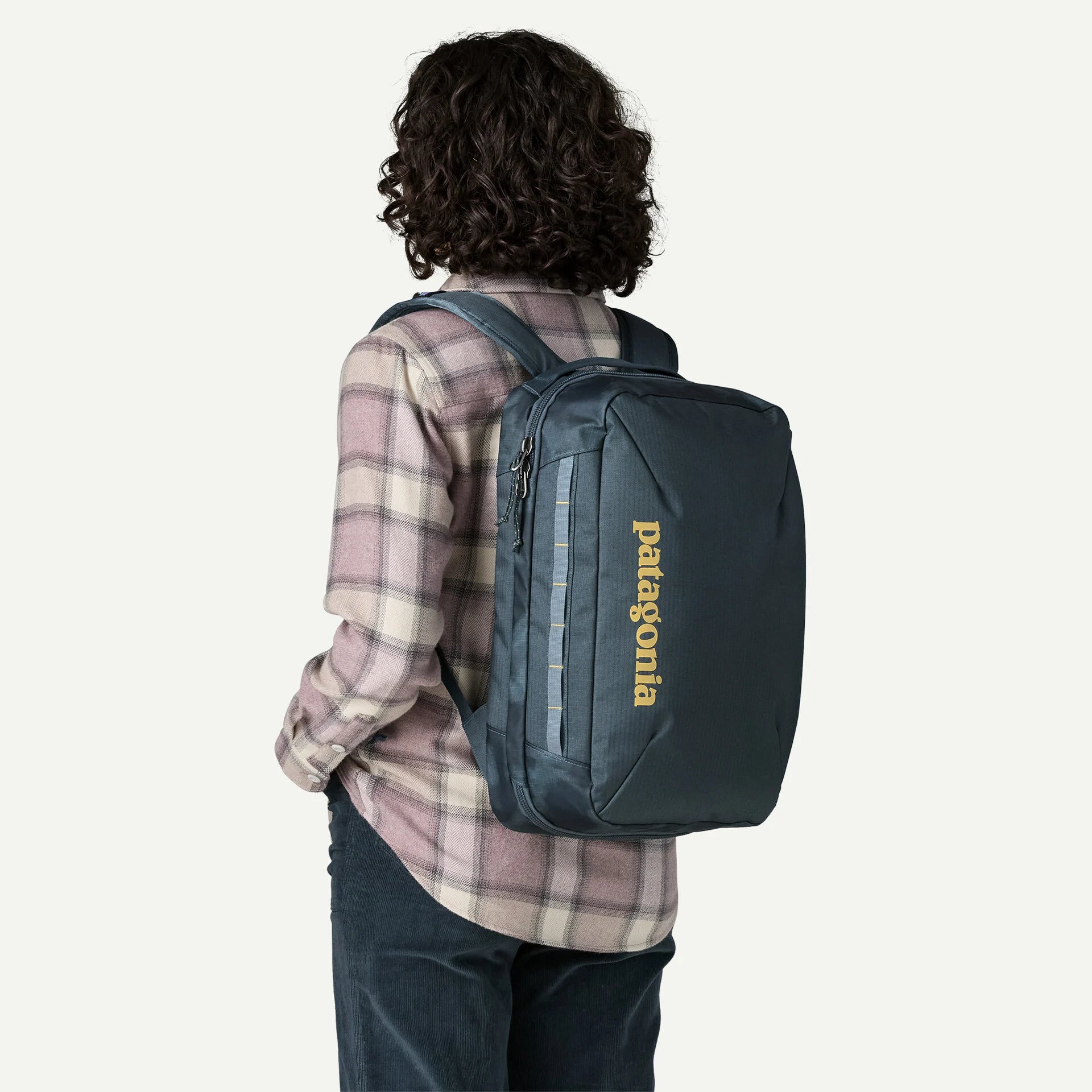 Patagonia Black Hole Micro MLC Backpack 22L