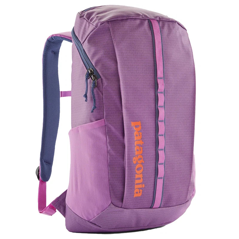 Patagonia Black Hole Pack 25L