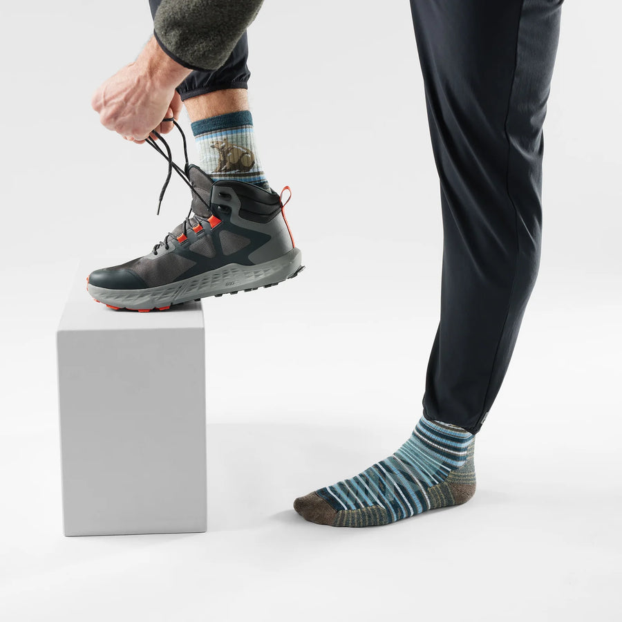Smartwool Men's Hike Targeted Cushion Bear Stripe Mid Crew
