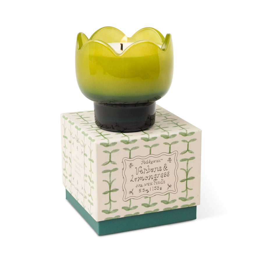 Paddywax Tulip 5.5 oz Candle