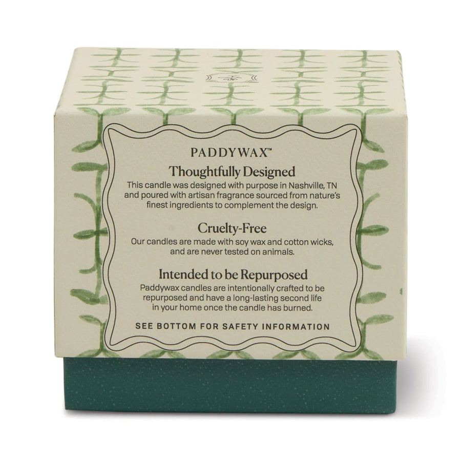 Paddywax Tulip 5.5 oz Candle