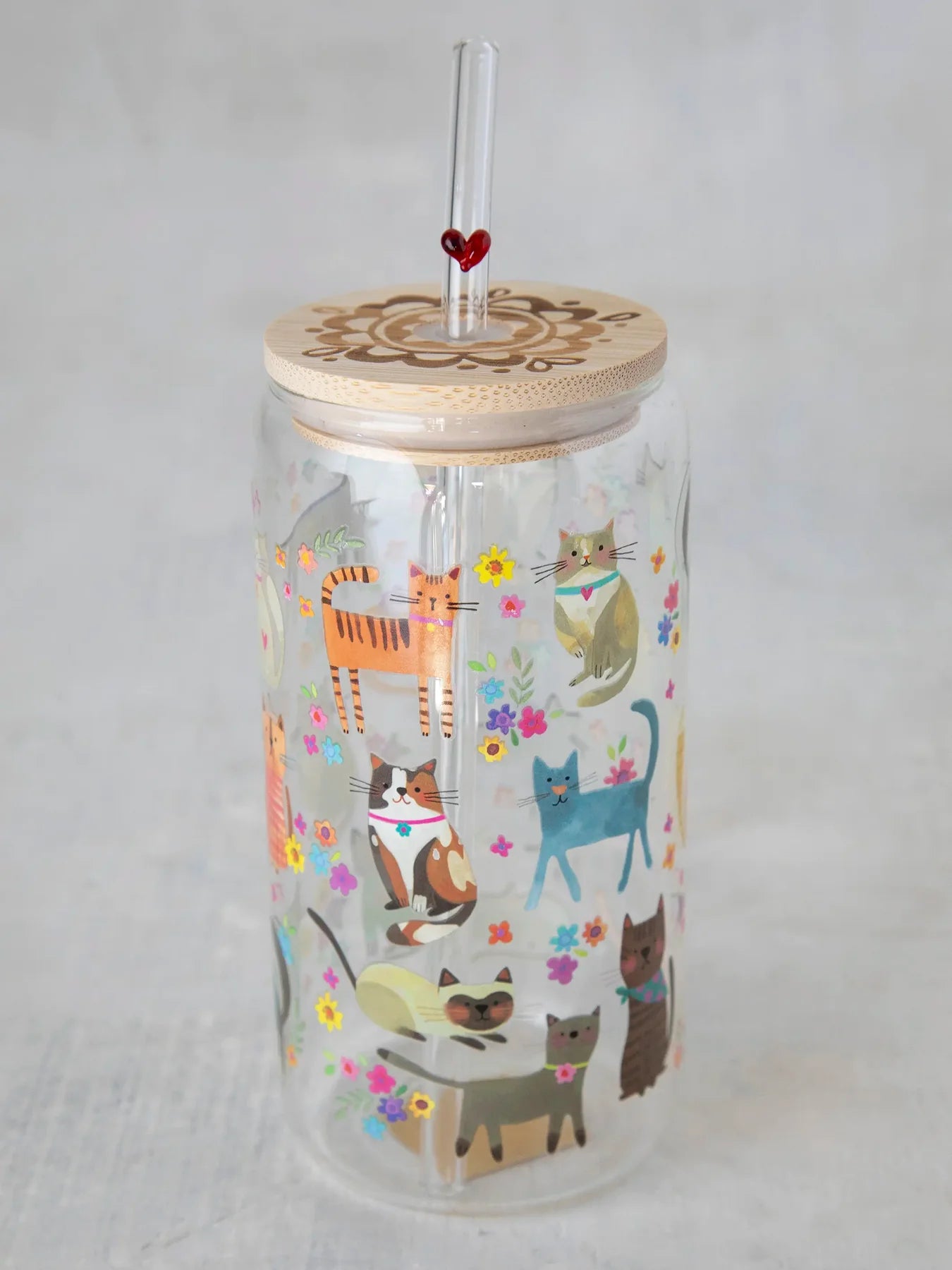 Cats Glass Tumbler With Lid & Straw