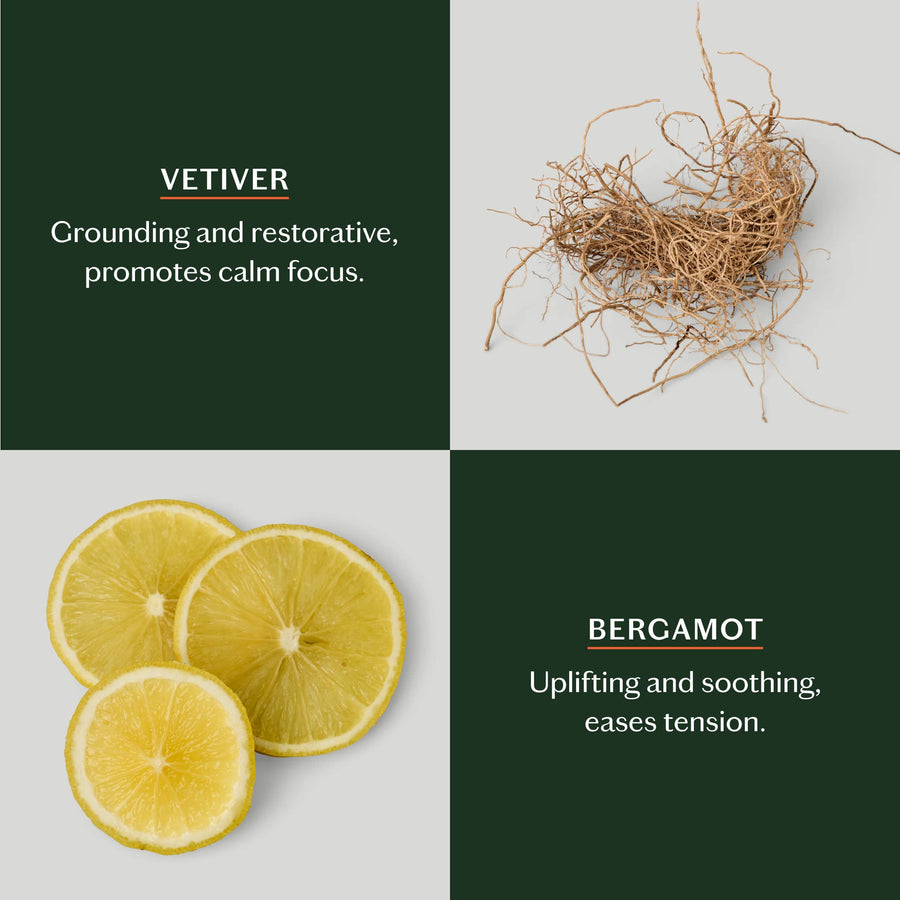 Kate McLeod Grounding Stone | Deep Moisturizing Lotion Bar