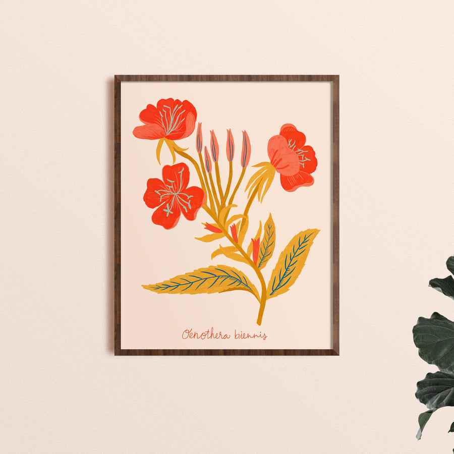 Dream Folk Studio Red Evening Primrose Art Print